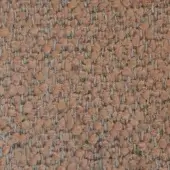 Indianskop 9806